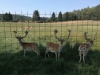 img_20180819_104422